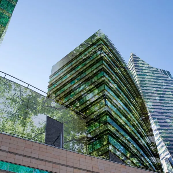 Nuovo sito aggiornato